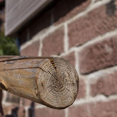 Saunaloft Schwarzwald Gemeinde Gemeinde Aichhalden Екстериор снимка
