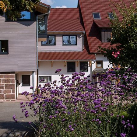 Saunaloft Schwarzwald Gemeinde Gemeinde Aichhalden Екстериор снимка
