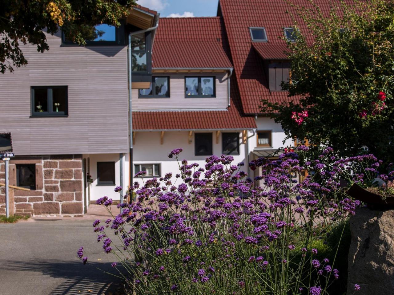 Saunaloft Schwarzwald Gemeinde Gemeinde Aichhalden Екстериор снимка