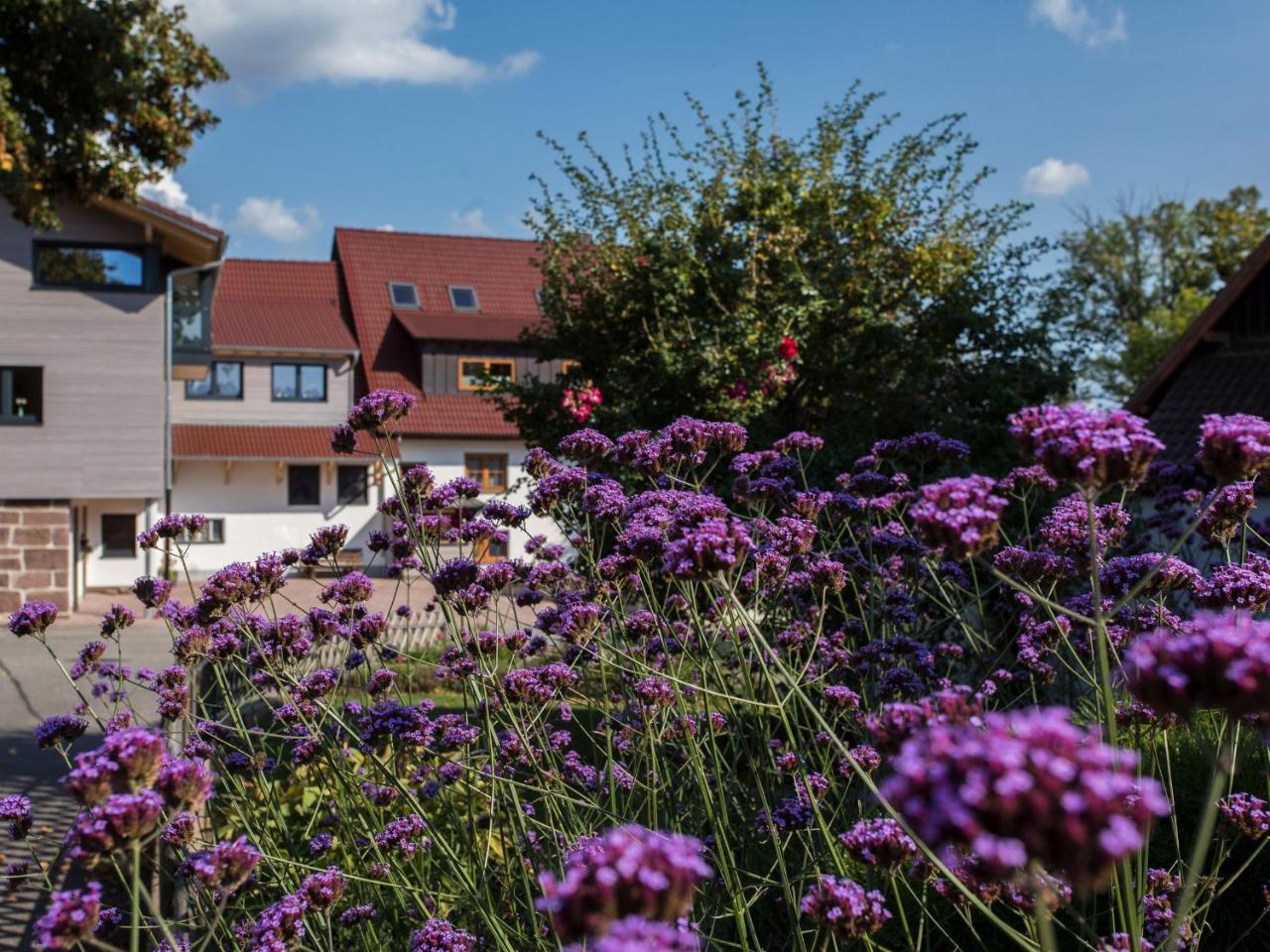 Saunaloft Schwarzwald Gemeinde Gemeinde Aichhalden Екстериор снимка