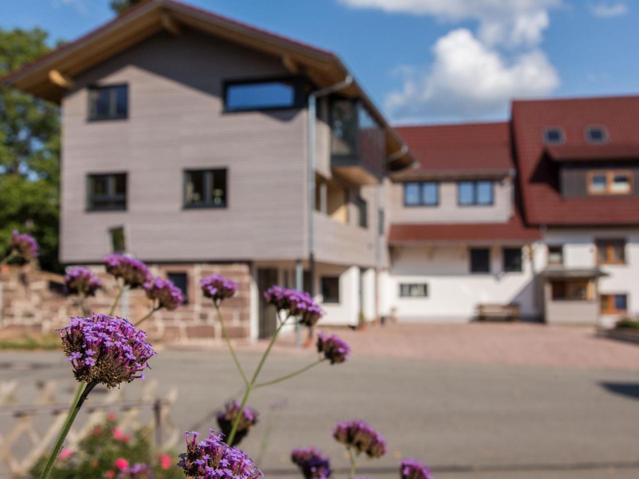 Saunaloft Schwarzwald Gemeinde Gemeinde Aichhalden Екстериор снимка