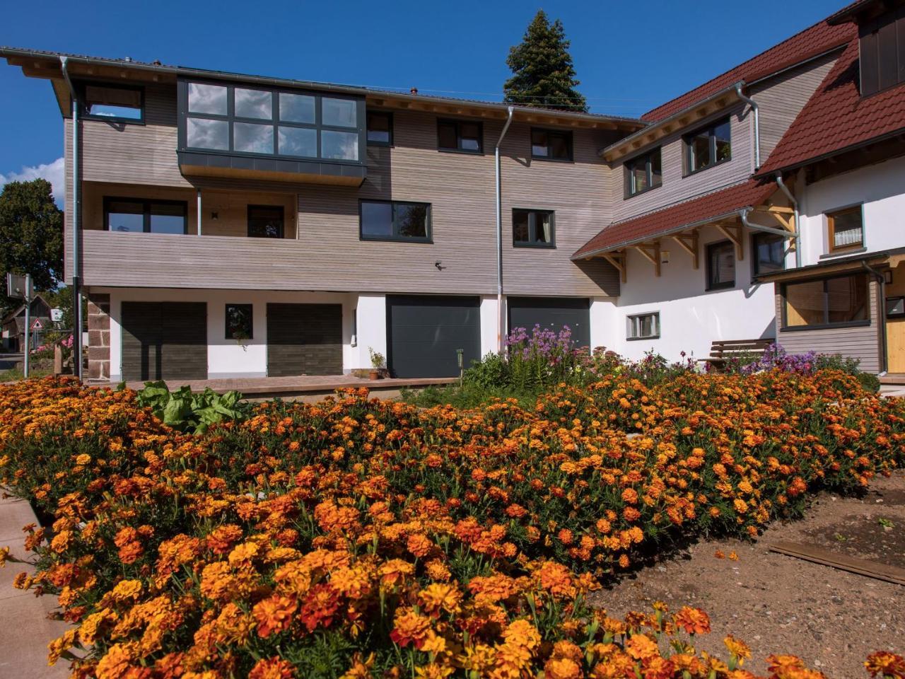 Saunaloft Schwarzwald Gemeinde Gemeinde Aichhalden Екстериор снимка