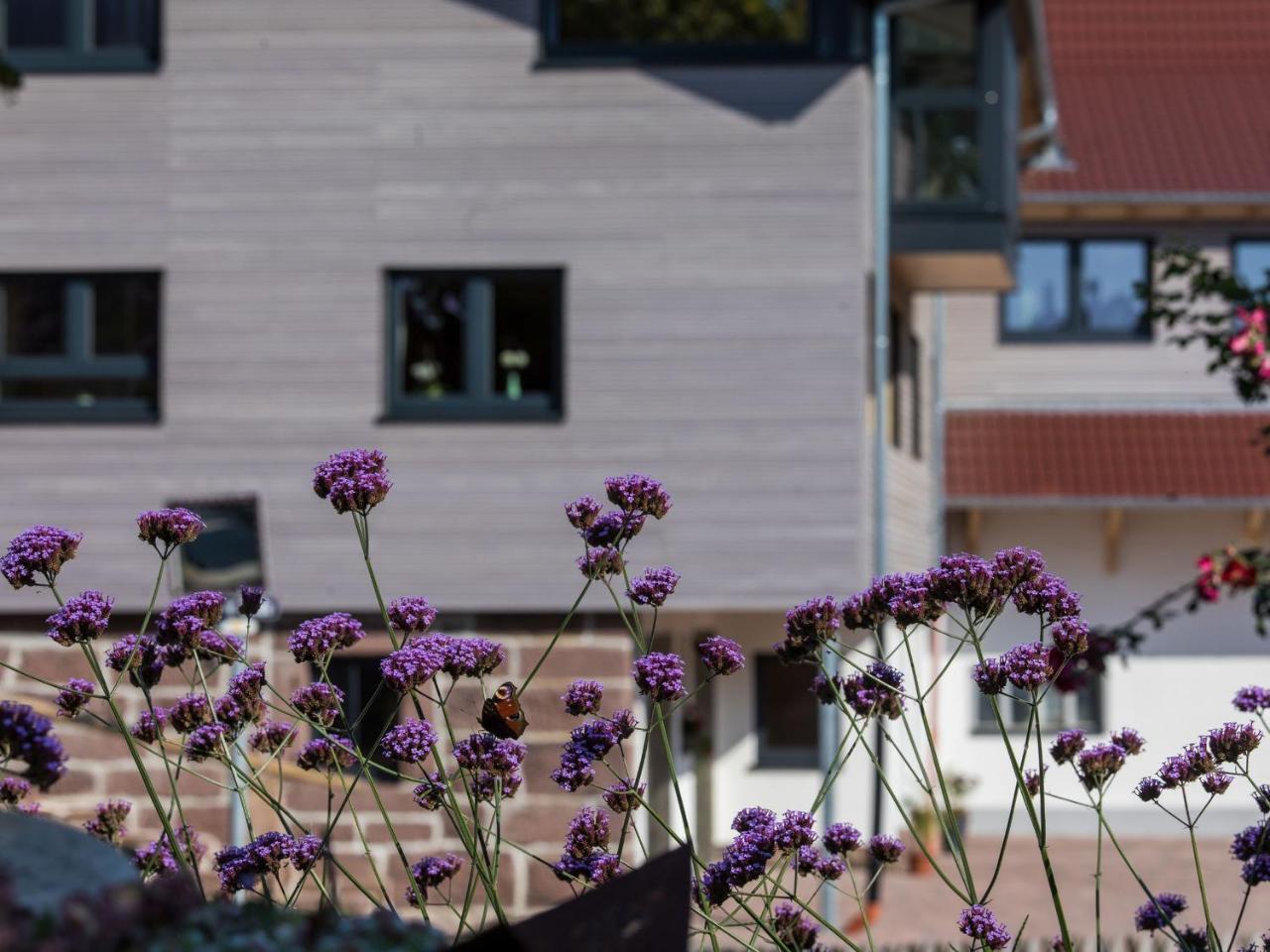 Saunaloft Schwarzwald Gemeinde Gemeinde Aichhalden Екстериор снимка