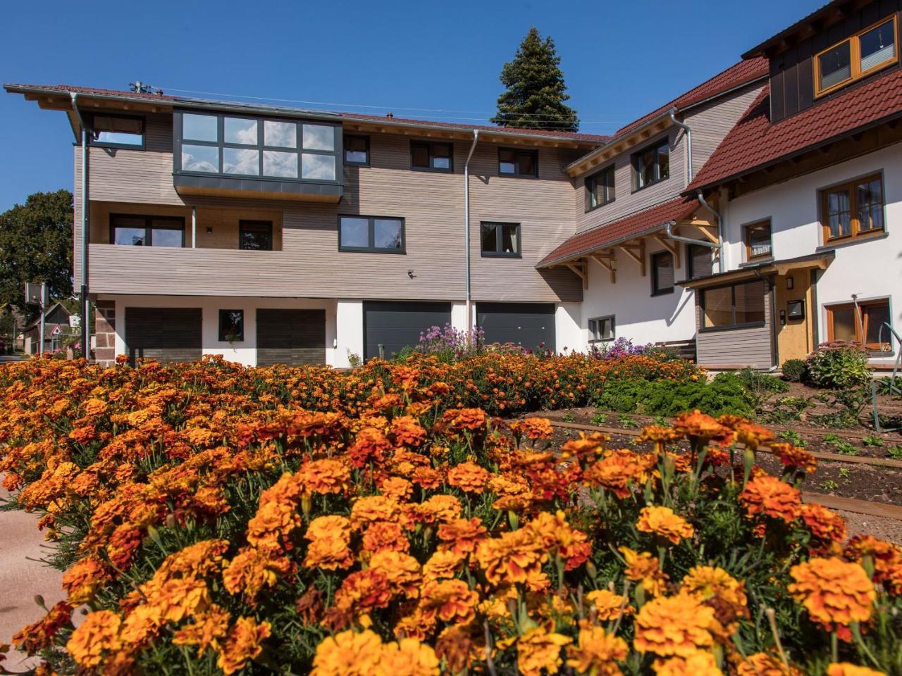 Saunaloft Schwarzwald Gemeinde Gemeinde Aichhalden Екстериор снимка